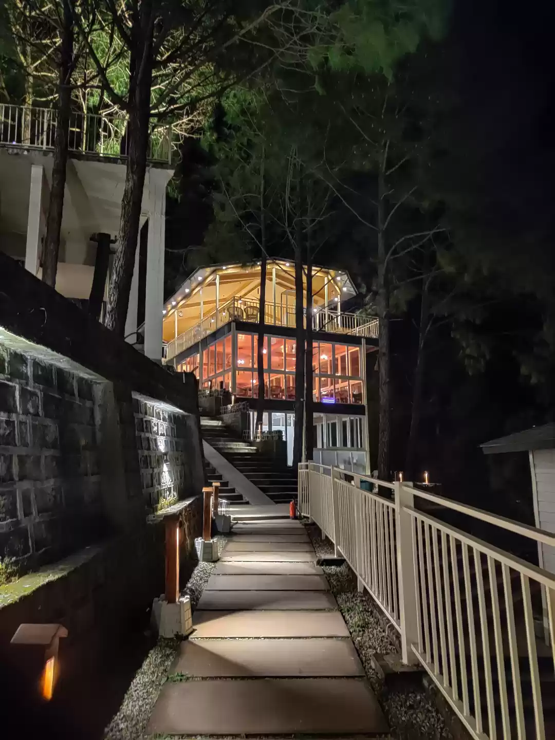 Photo of When Leaves Are a Hi