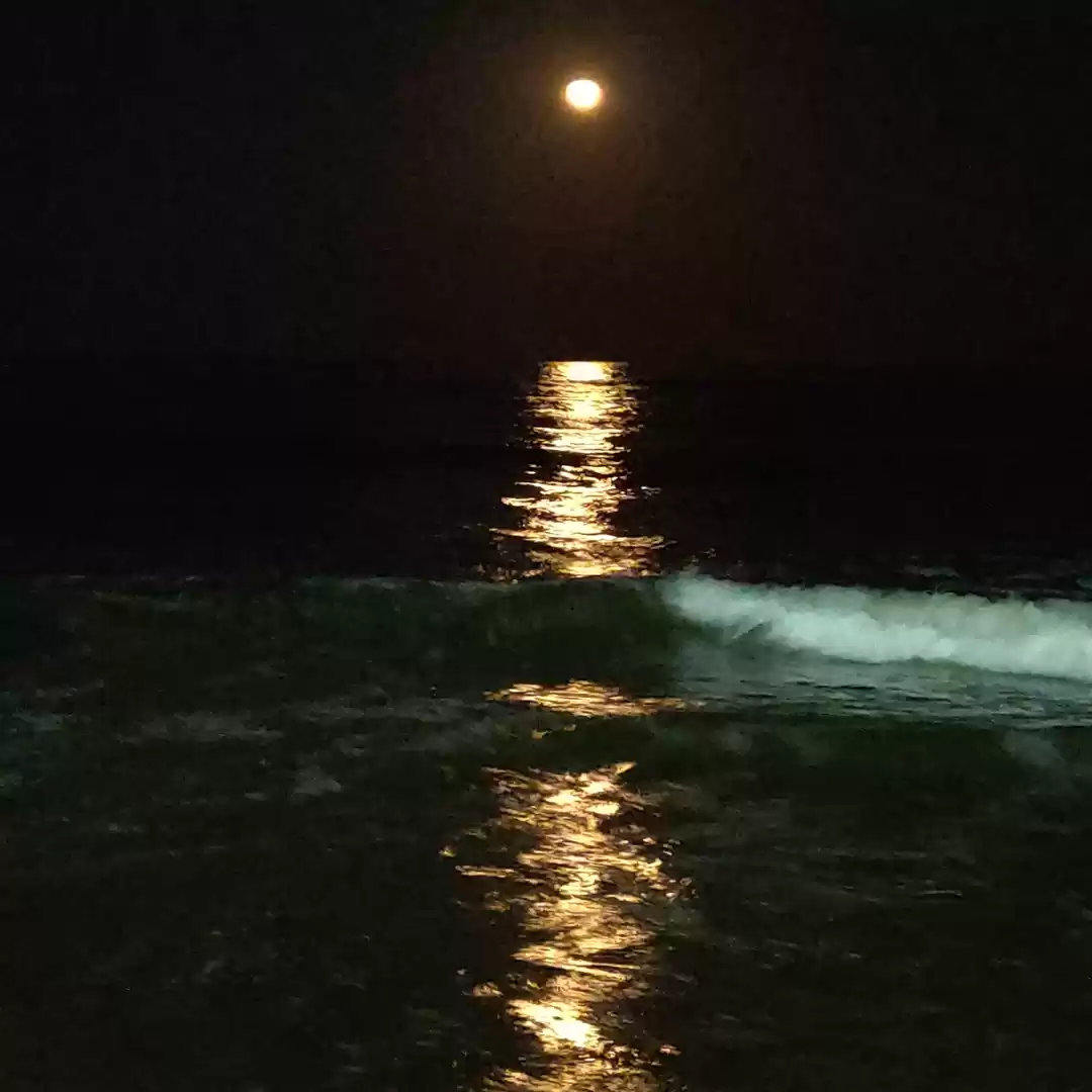 Photo of Thiruvanmiyur beach 