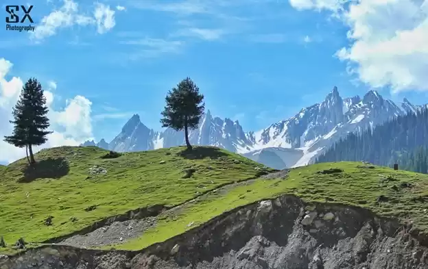 Photo of Himalaya Travel Sto