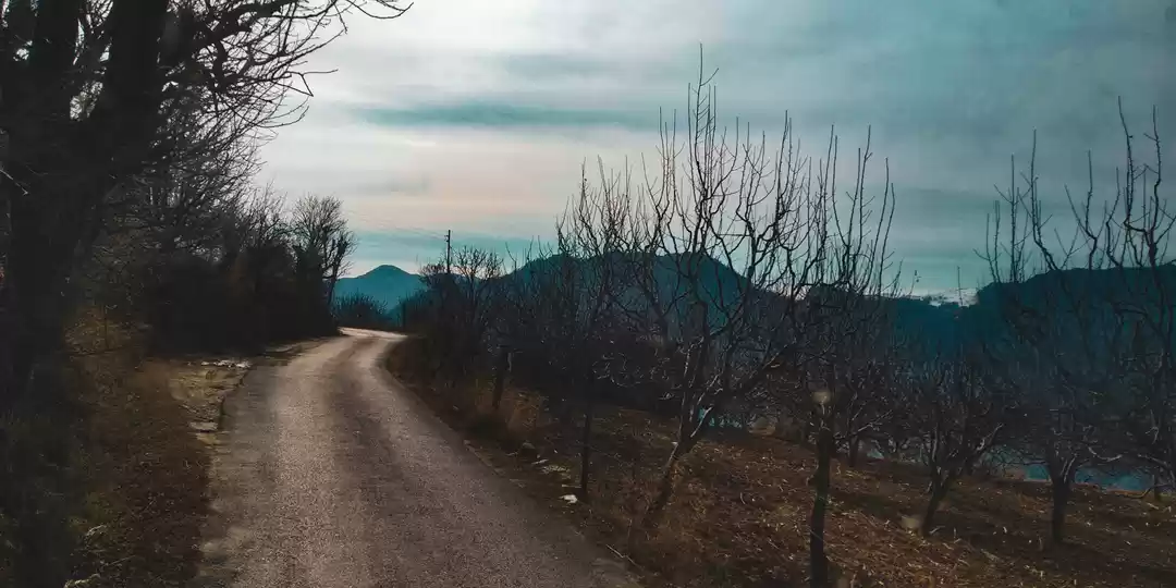 Photo of Trek to Kareri Lake