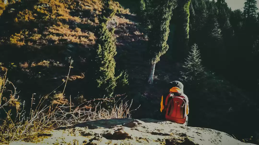 Photo of Ways To Save Money W