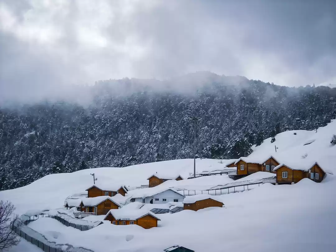 Photo of Auli: The wonderland