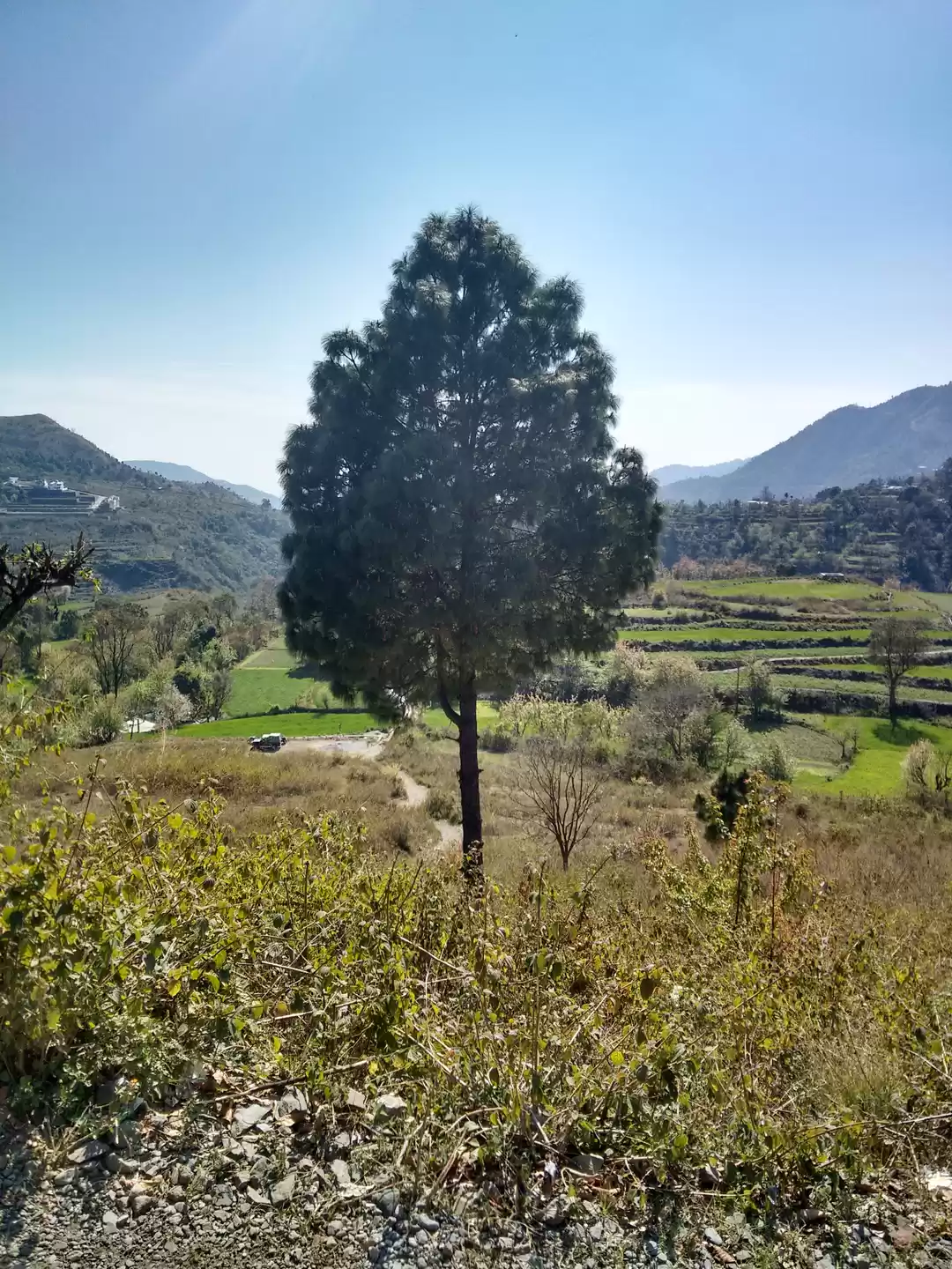 Photo of How Nainital surpris