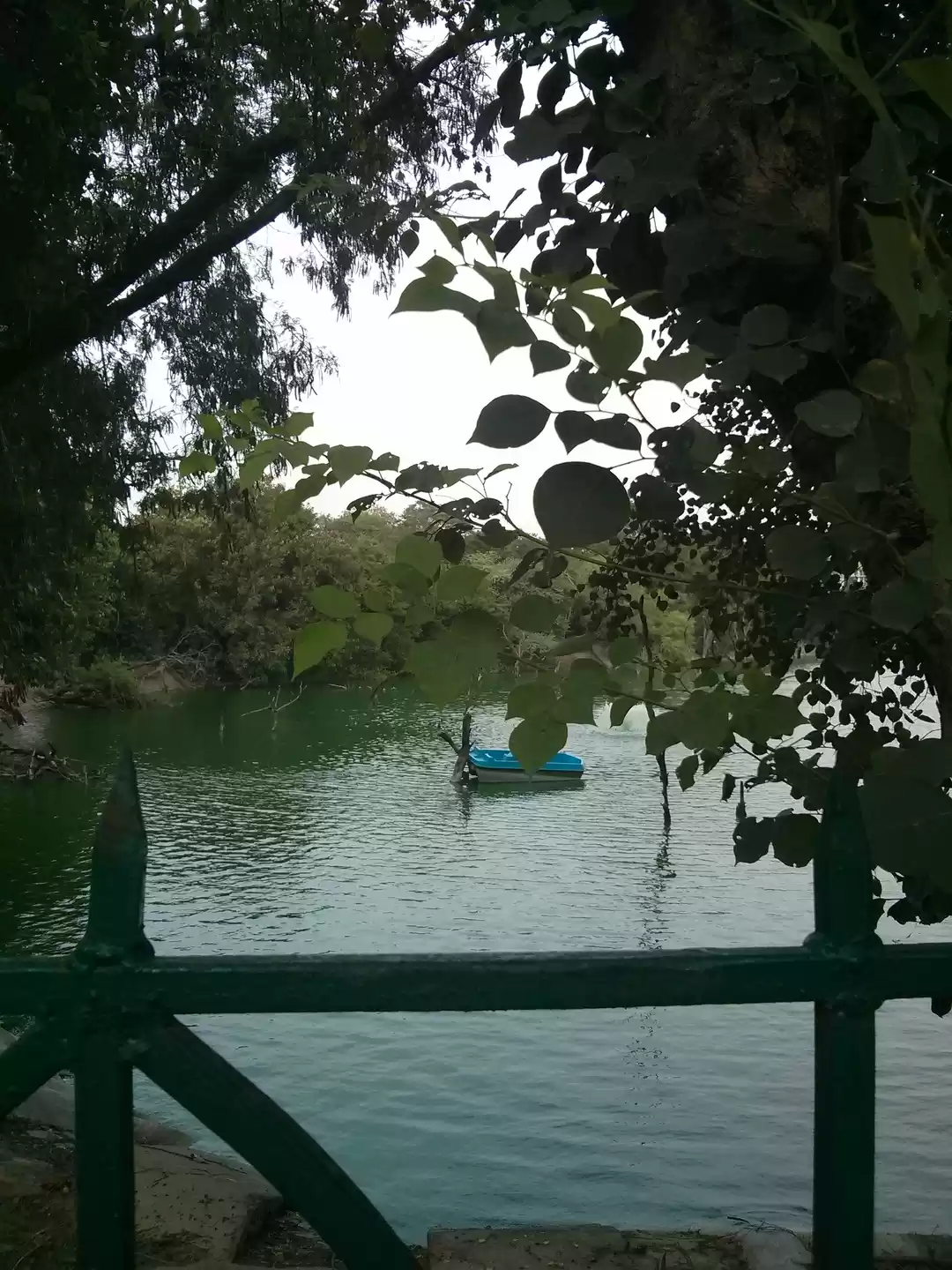 Photo of Dear dirty traveller