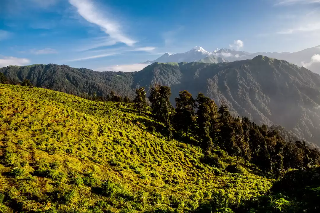 Photo of Fly over Uttarakhand