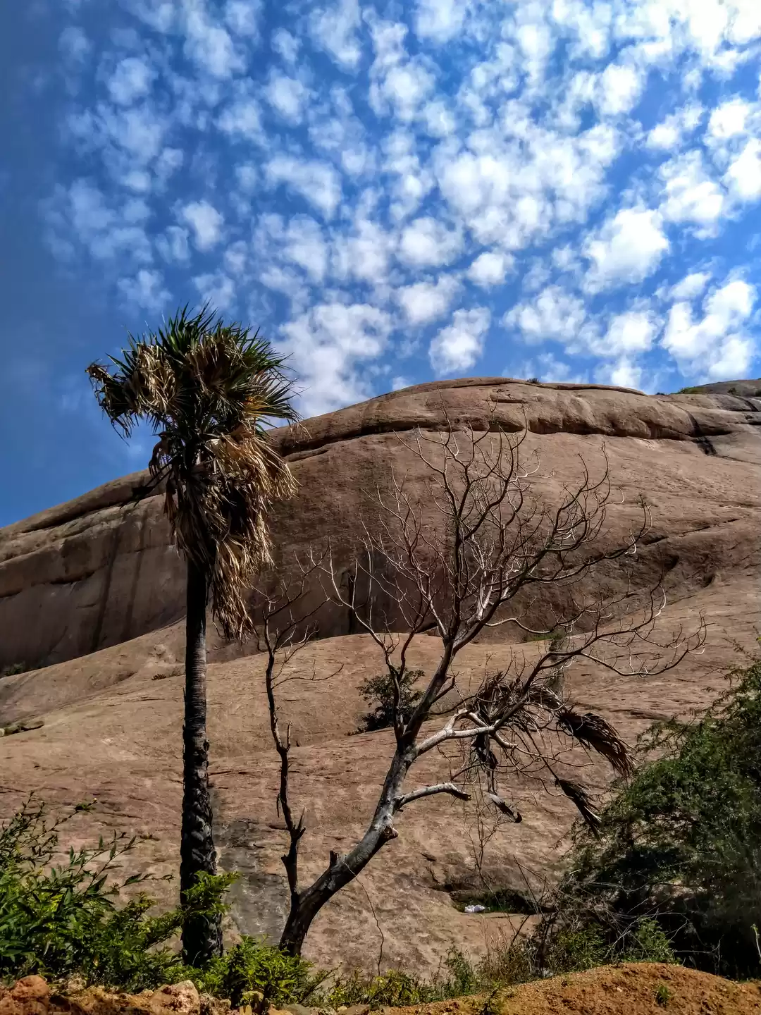 Photo of A day trip to Bhuvan