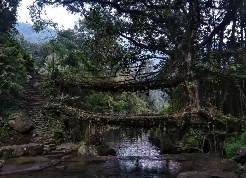Photo of Hiking to Meghalaya'