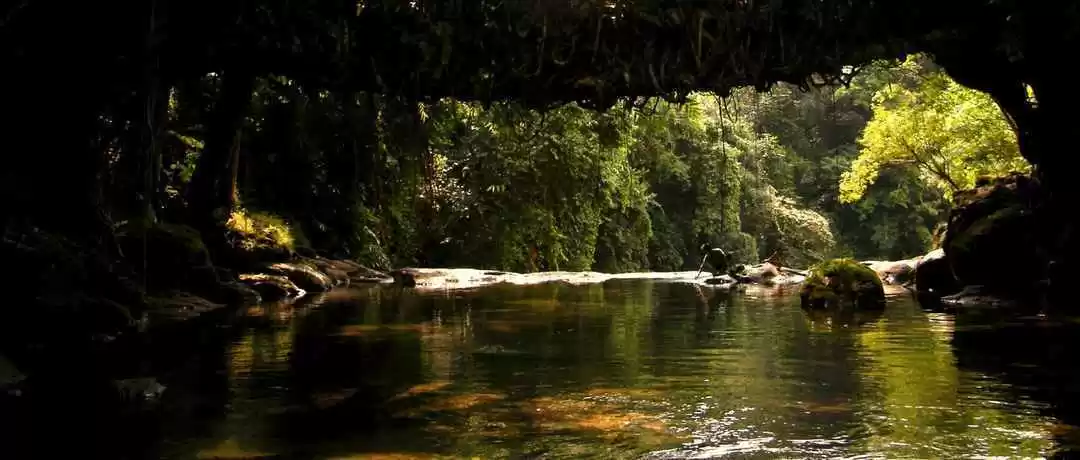 Photo of Magical Meghalaya: T