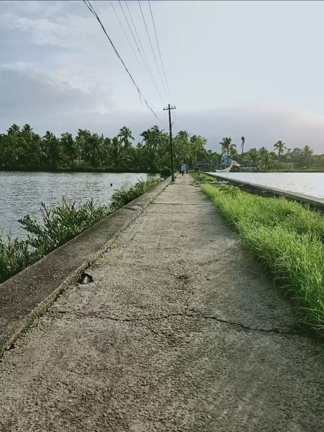 Photo of Kadamakkudy, Kerala