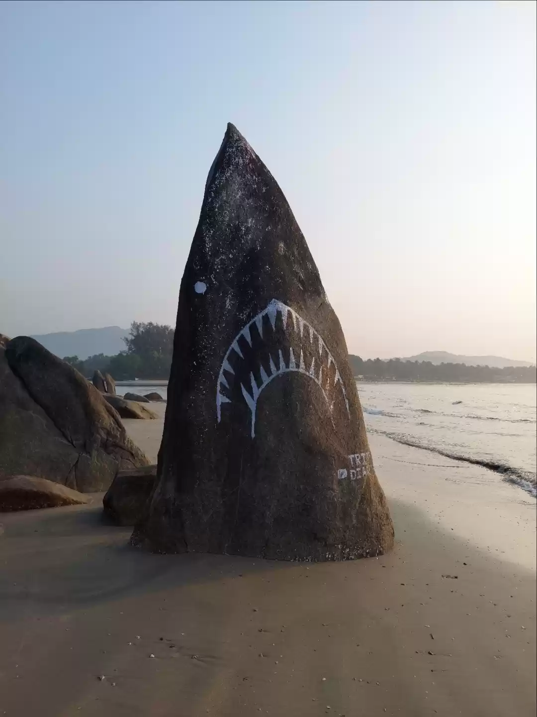 Photo of The Shark from Palol