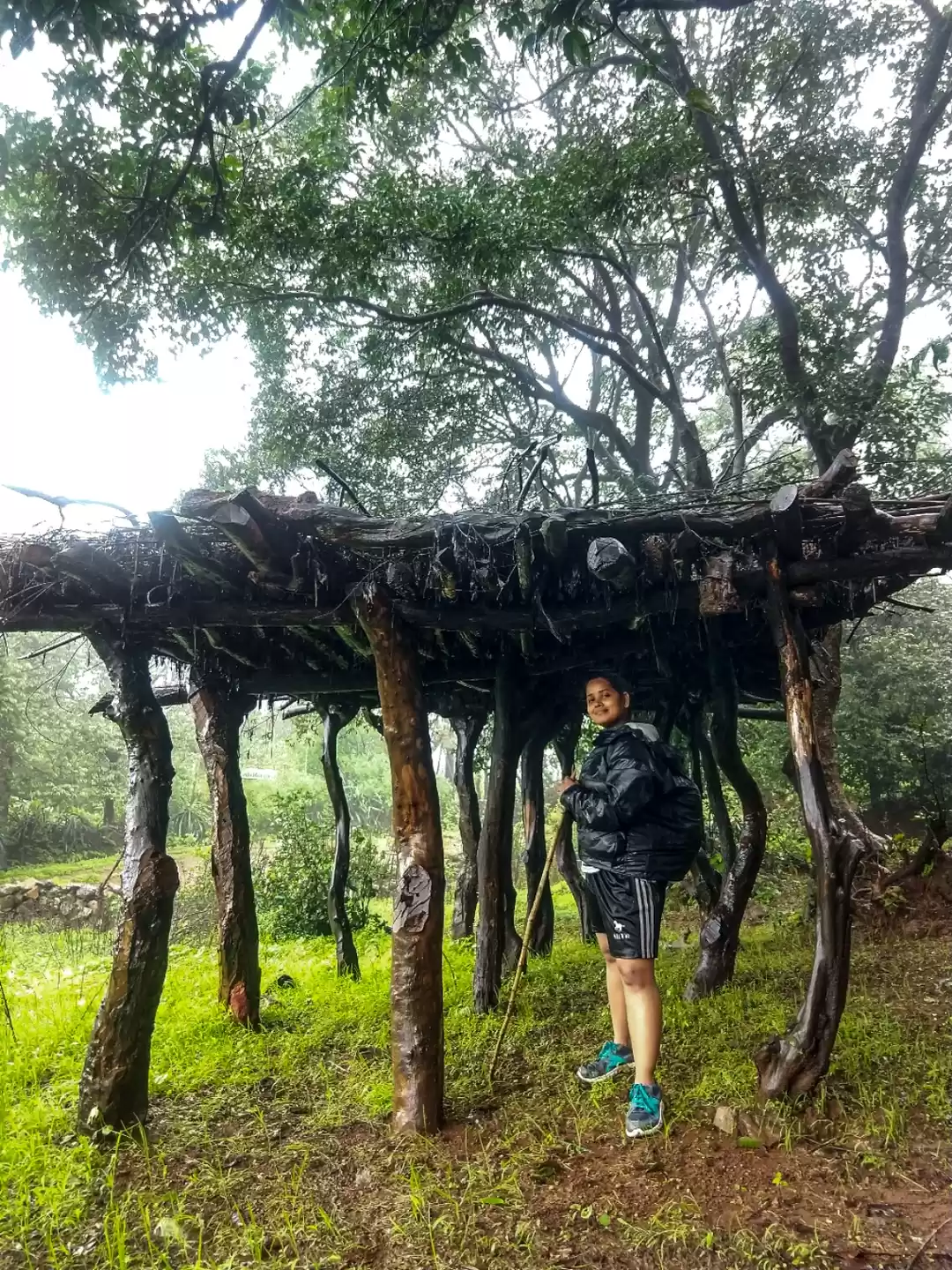 Photo of Trekking Tales