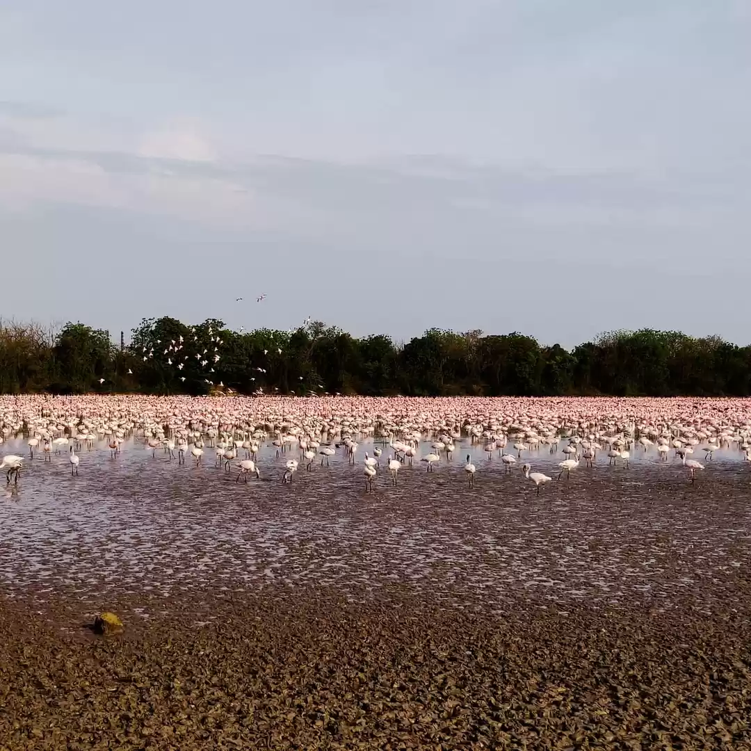 Photo of May is about flaming