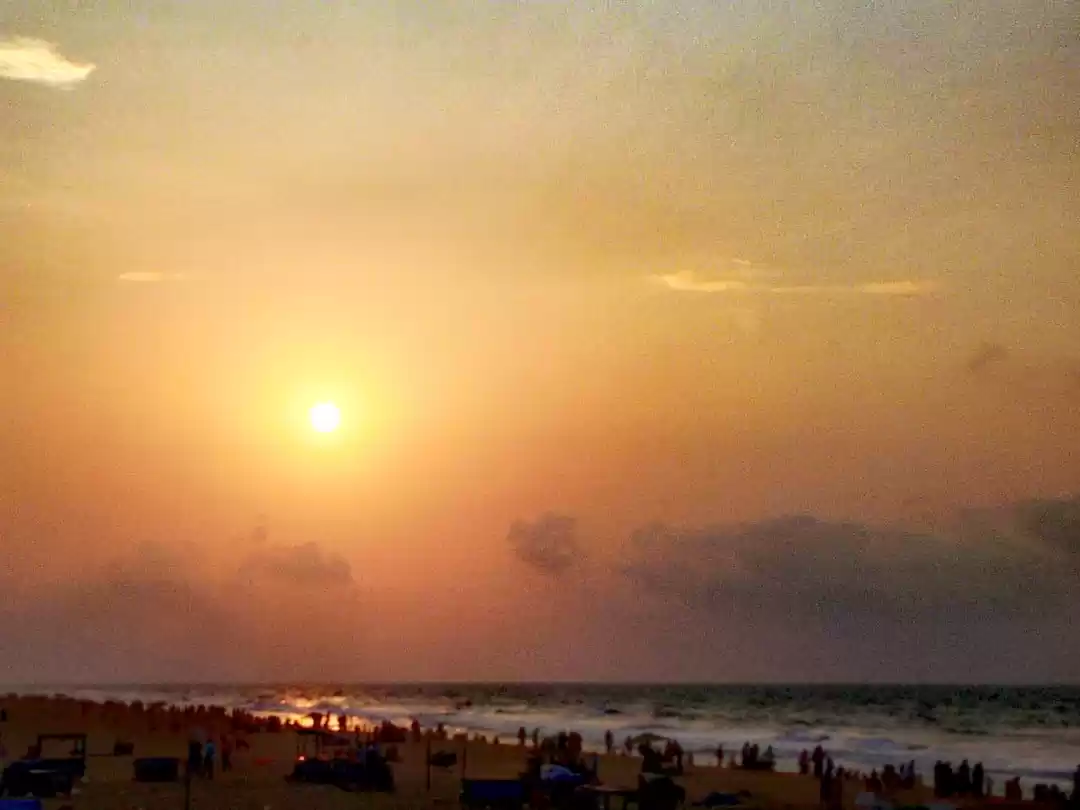 Photo of Trip to Odisha-a bea