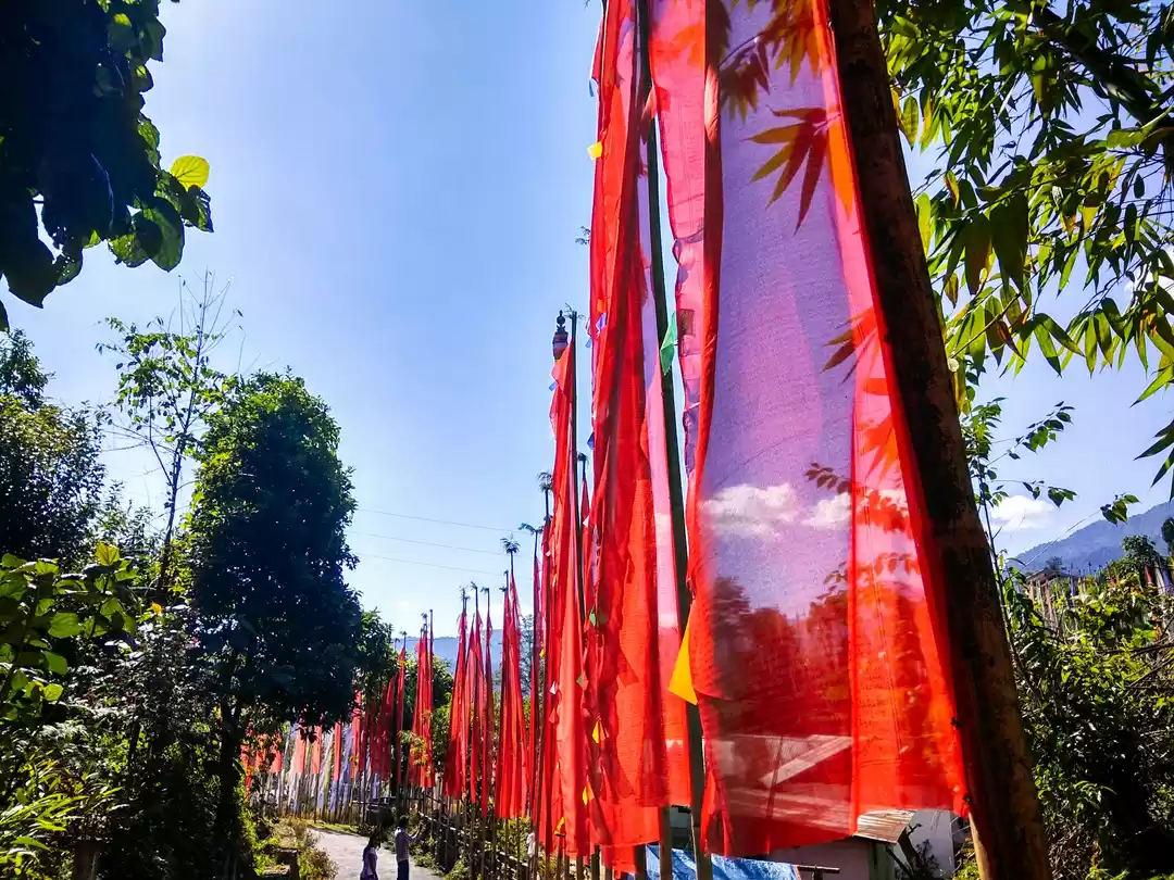 Photo of Exploring the Paradi