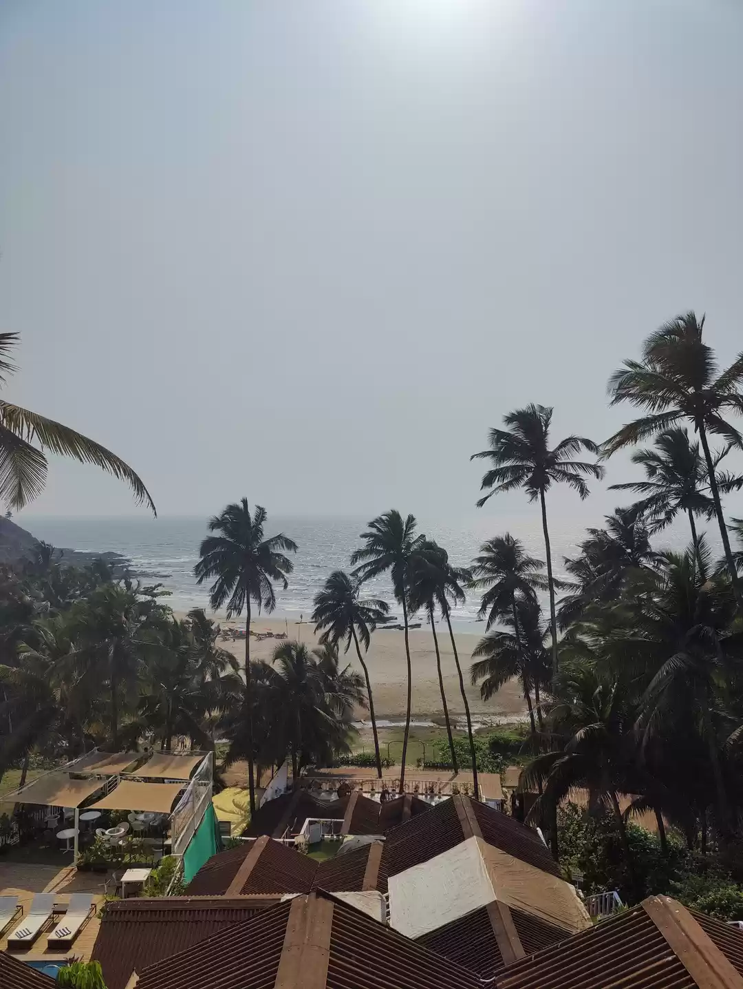 Photo of Godspeed Goa