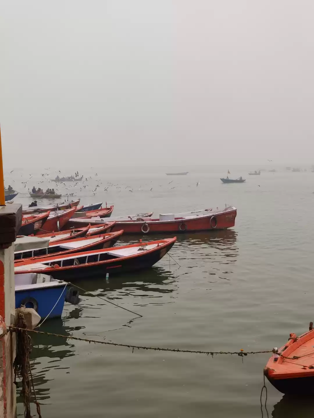 Photo of Kashi
