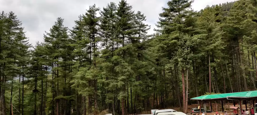 Photo of Childhood dream: Bhu