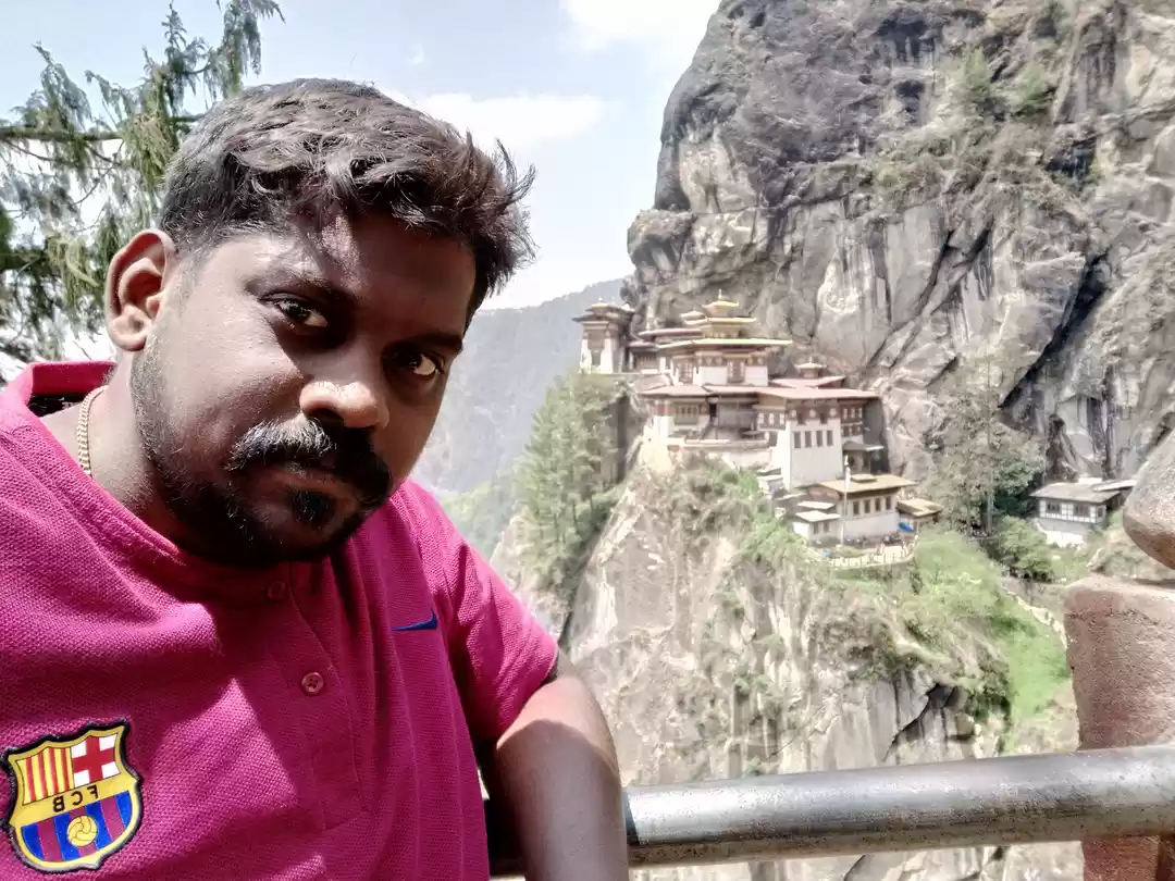 Photo of Tiger Nest