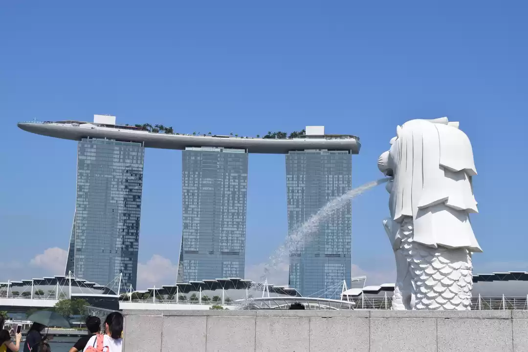 Photo of One Savvy trip to Si