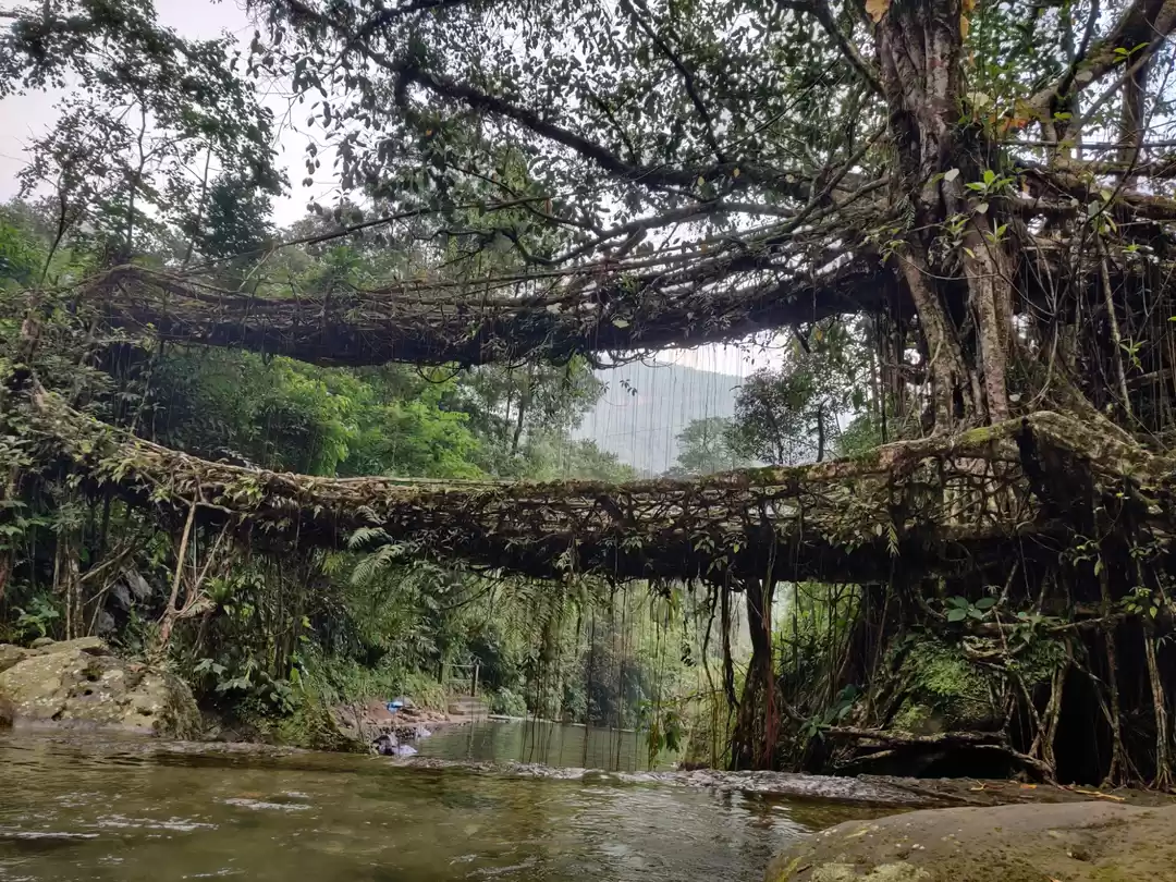 Photo of A Memorable Biking A