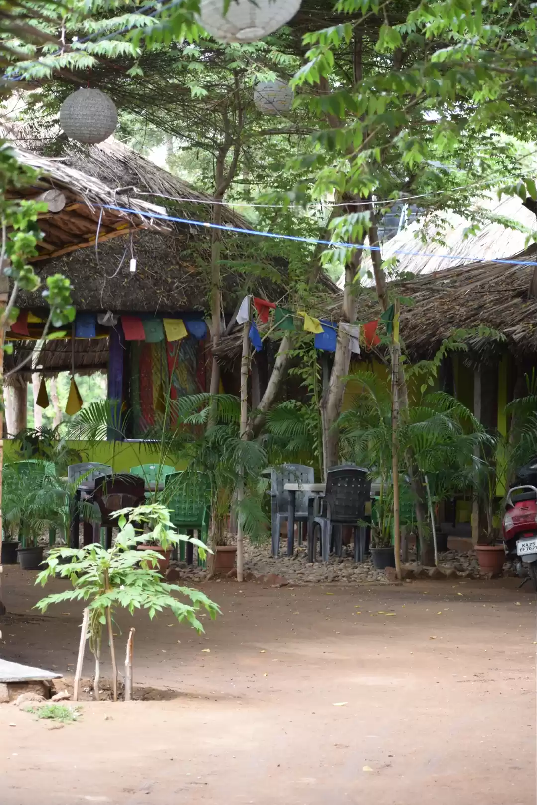 Photo of Solo trip turned int