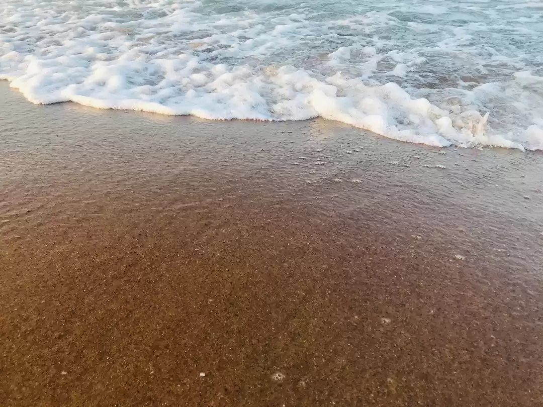 Photo of A Group Tour To Goa 