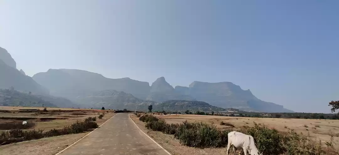 Photo of Trek to Alang fort