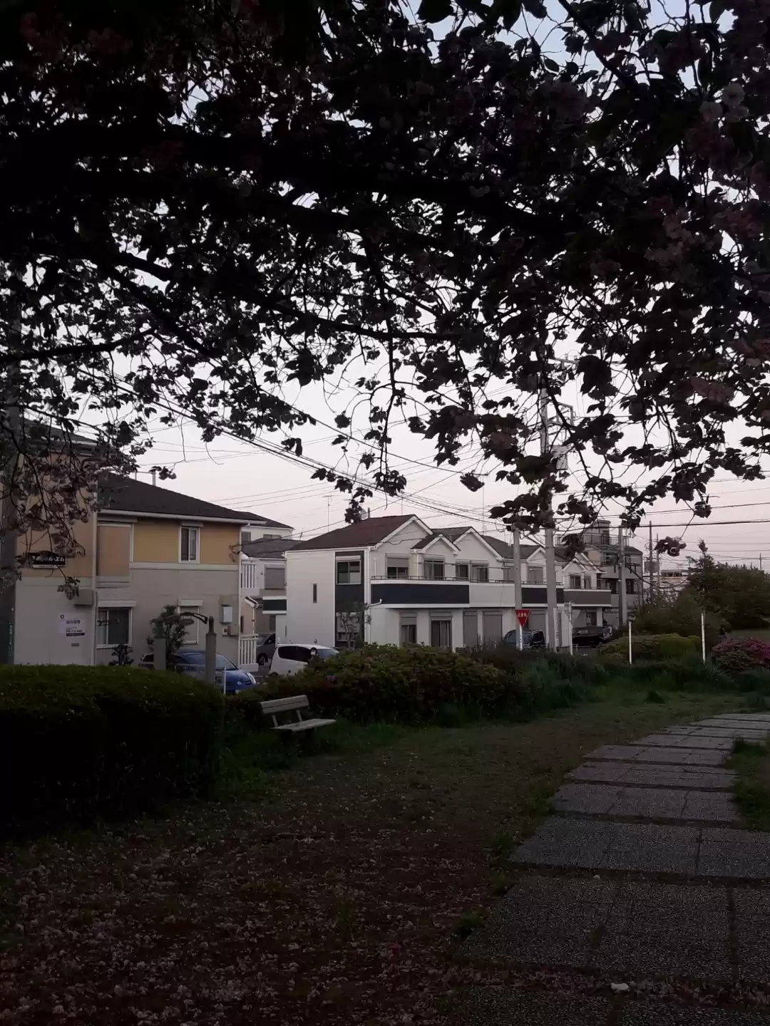 Photo of Evening walk in a to