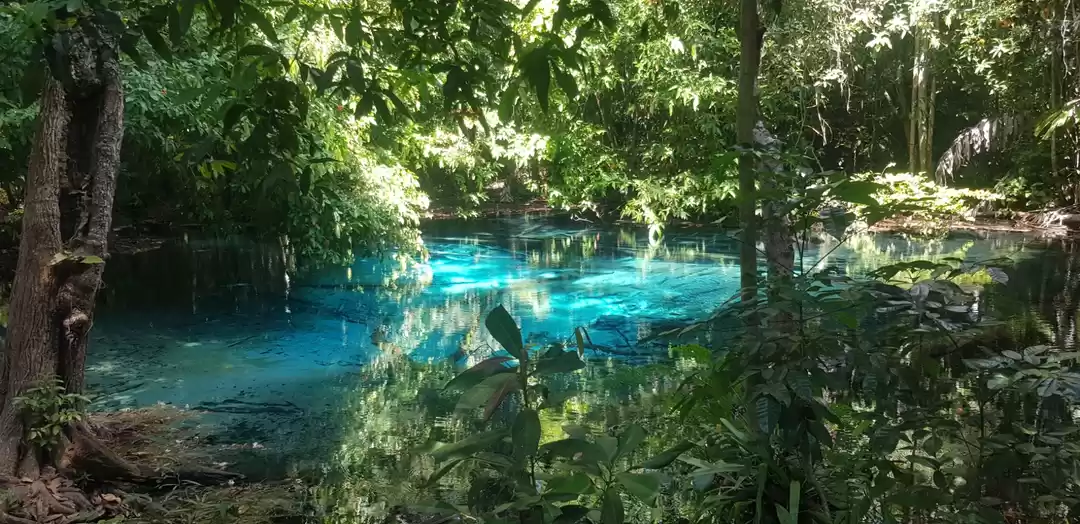 Photo of Beauty that is Emera