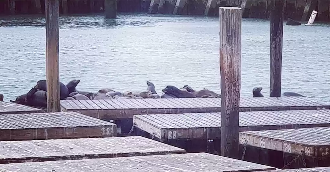 Photo of The amazing Fisherma