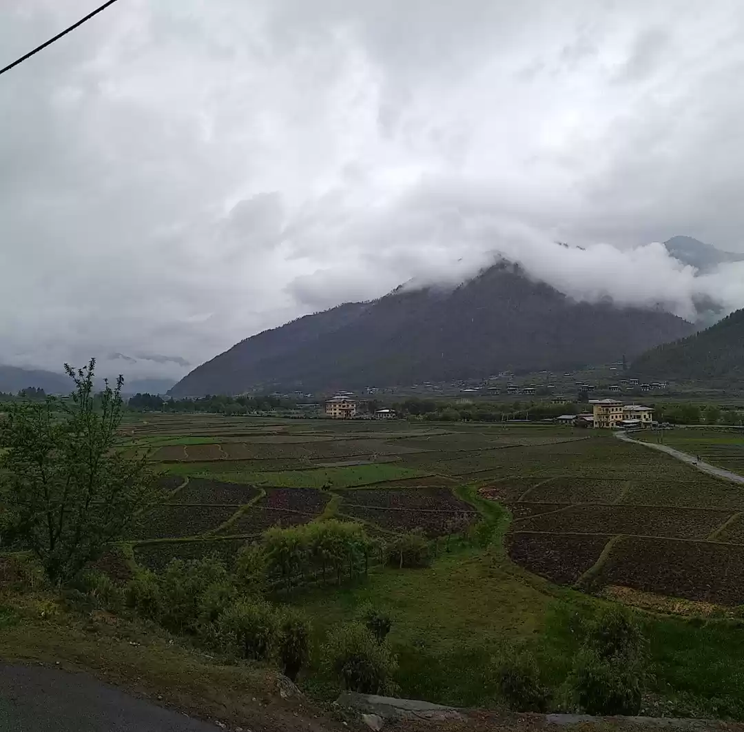 Photo of Bhutan - Abundance o