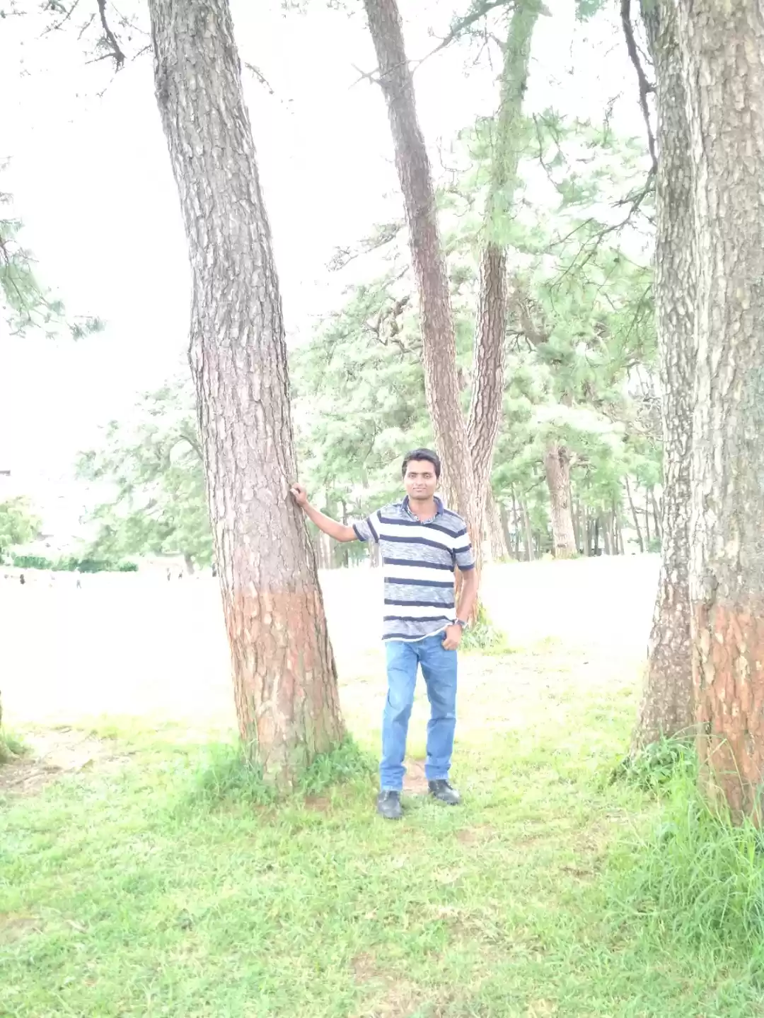 Photo of Shillong and Cherrap
