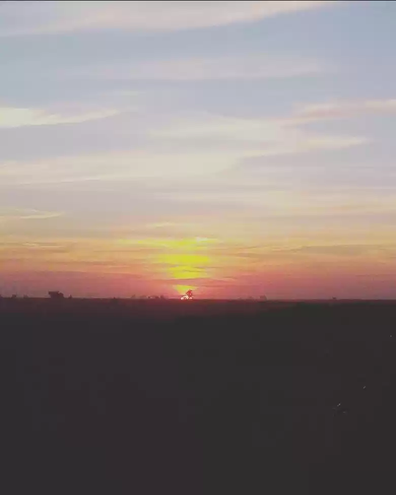 Photo of The day in jaisalmer