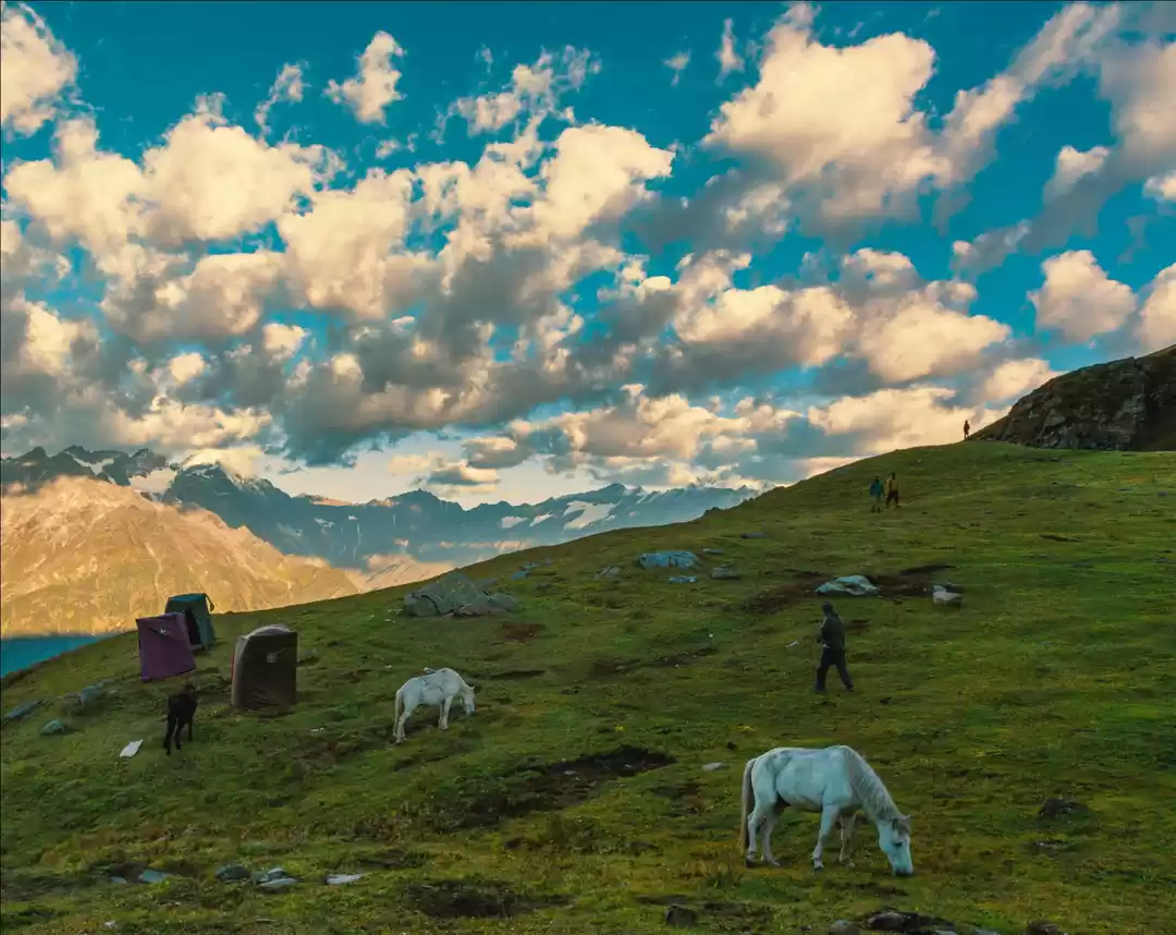 Photo of I Stumbled Upon this