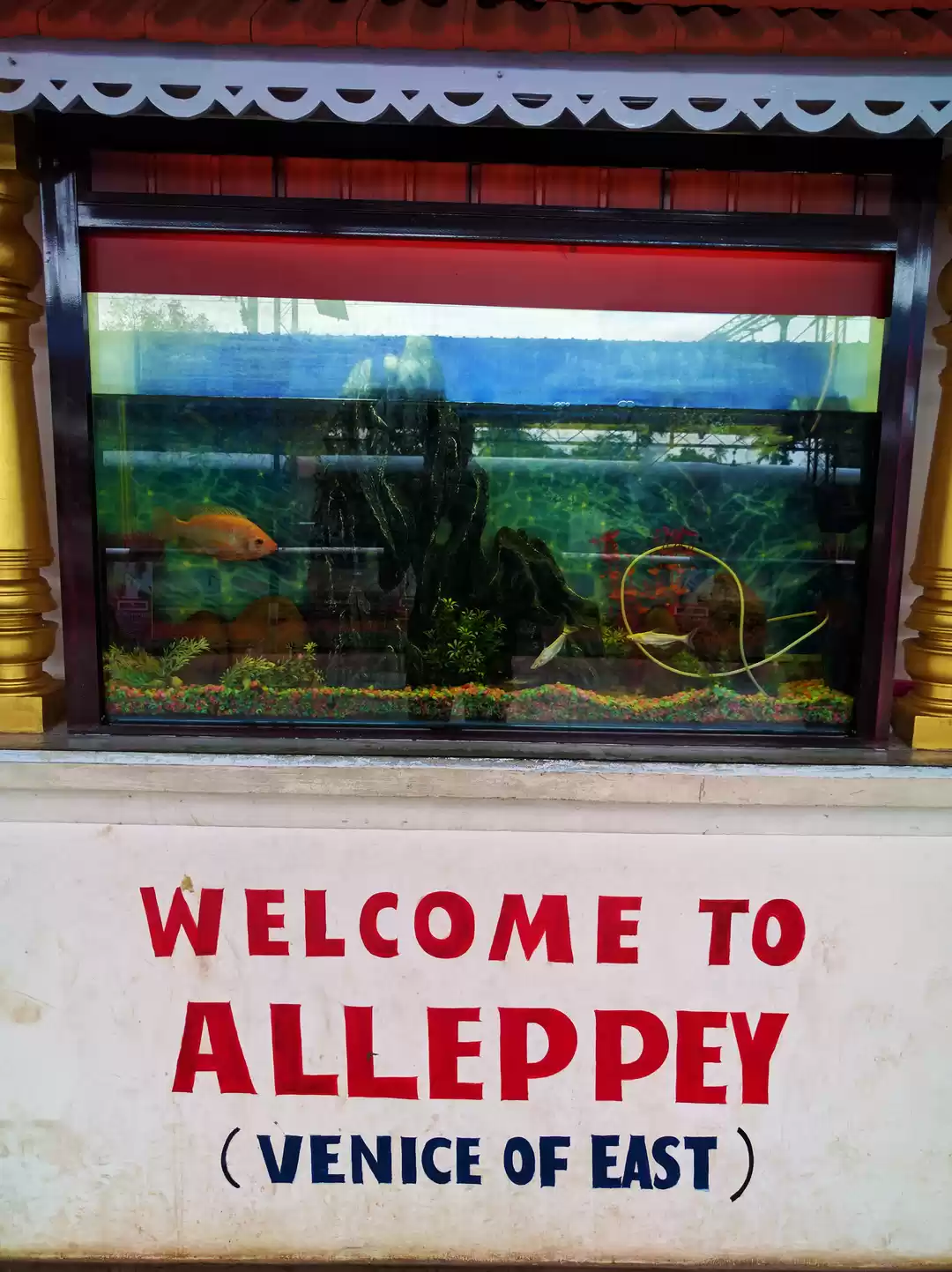 Photo of Kerala Diaries-> All