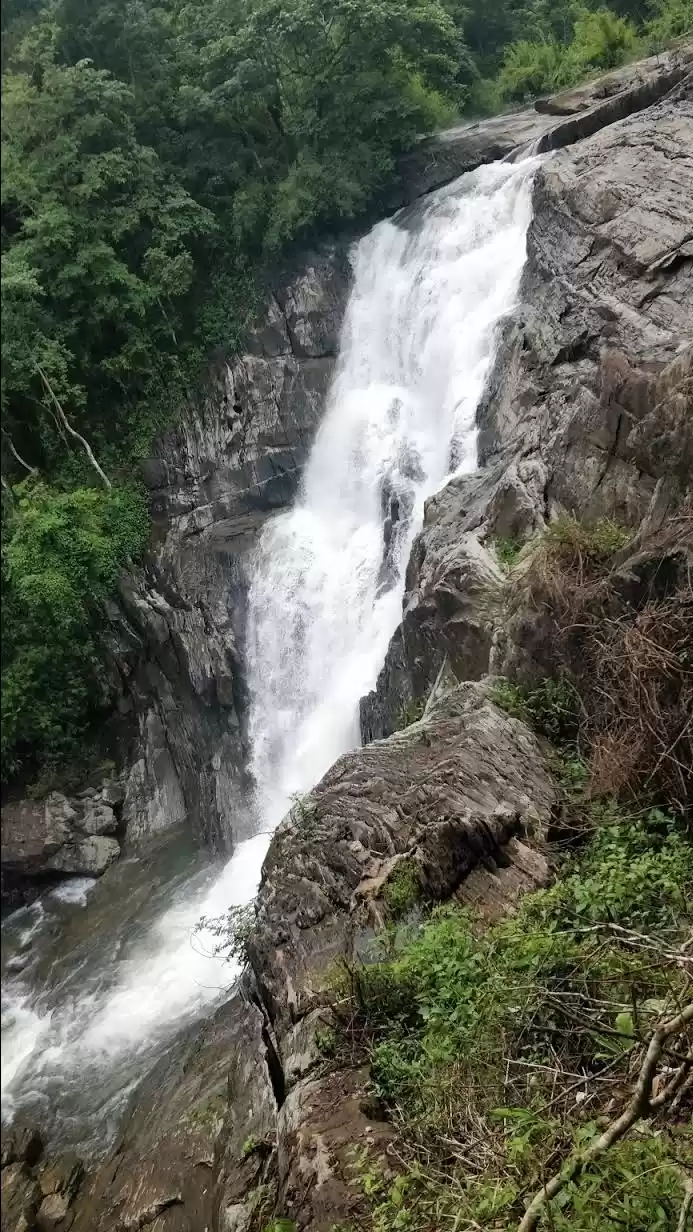 Photo of Wayanad (nature's ab