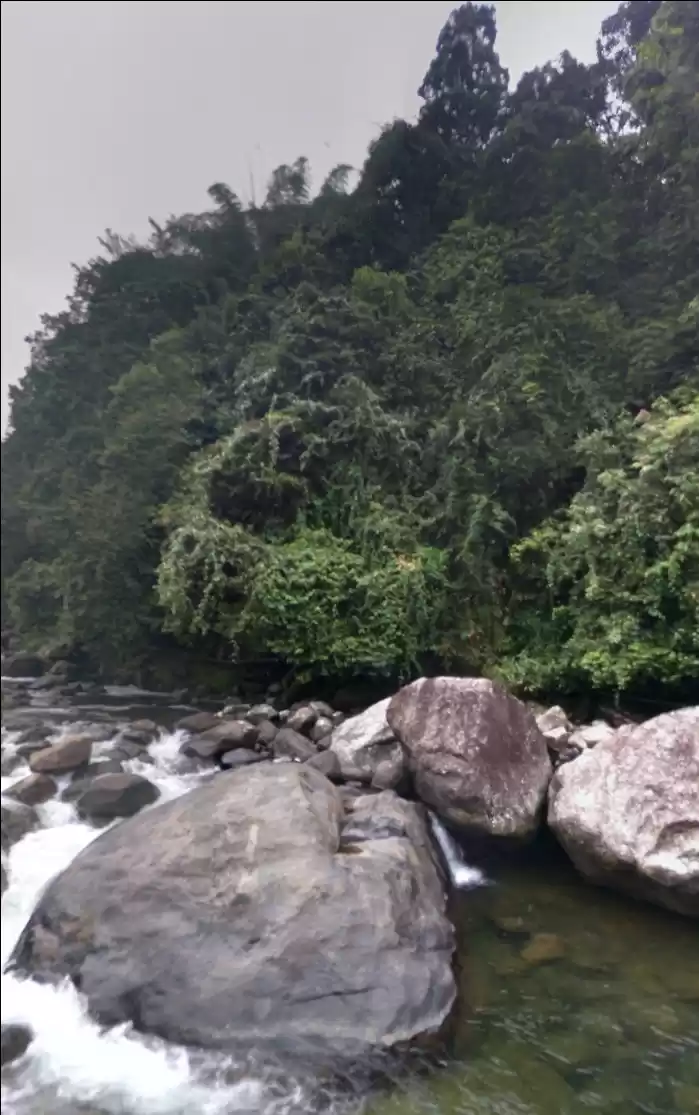 Photo of Kozhikode (A Colonia