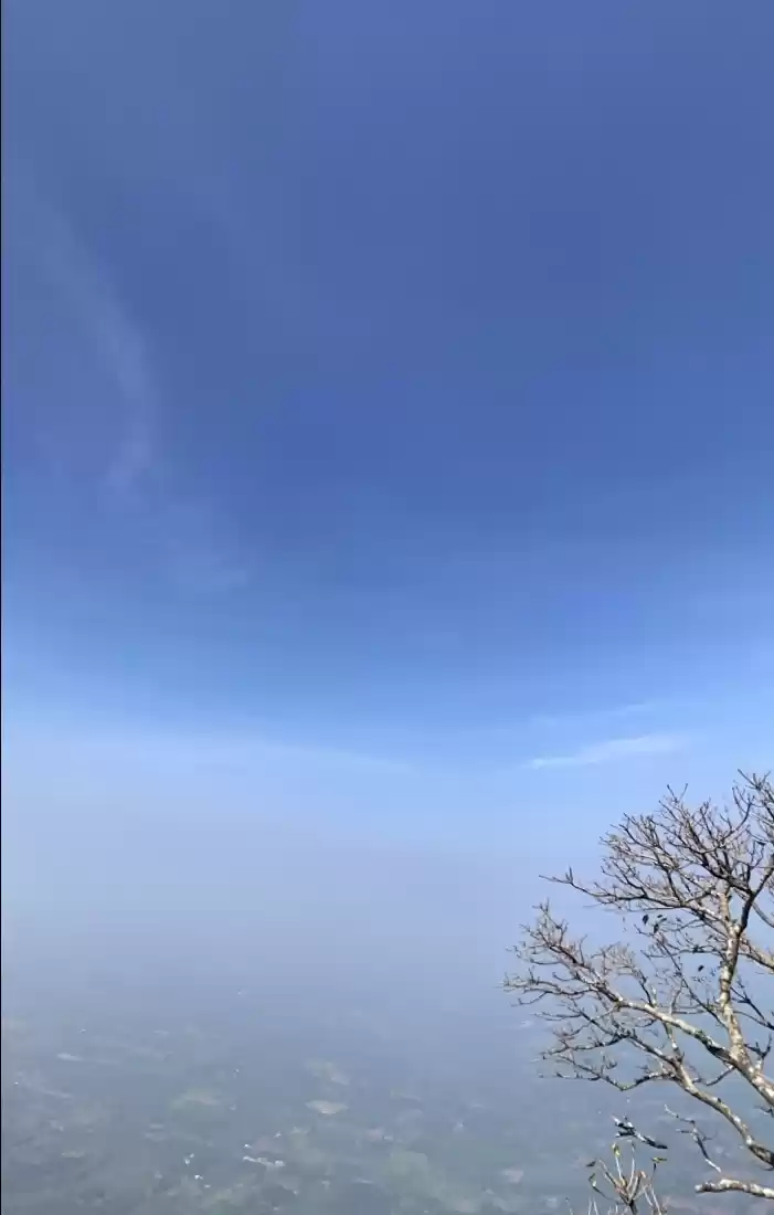 Photo of Nelliyampathy