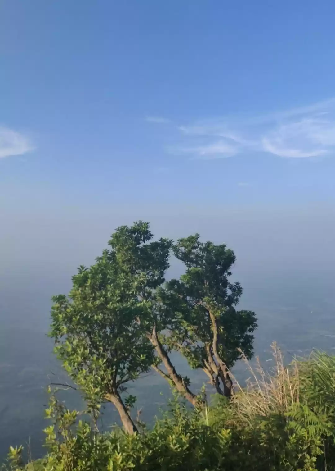 Photo of Palakkad (The Gatewa