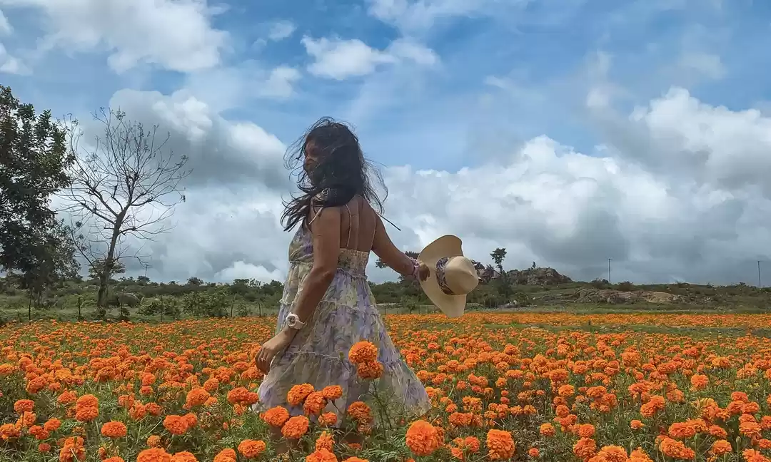 Photo of Just 4 hours from Ba