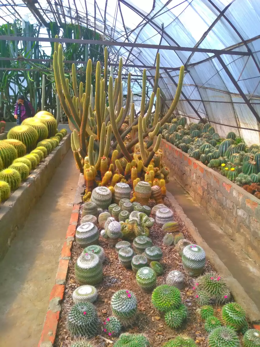 Photo of Pine View Nursery, 