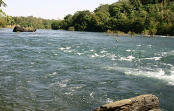 Photo of 10 things to do in D