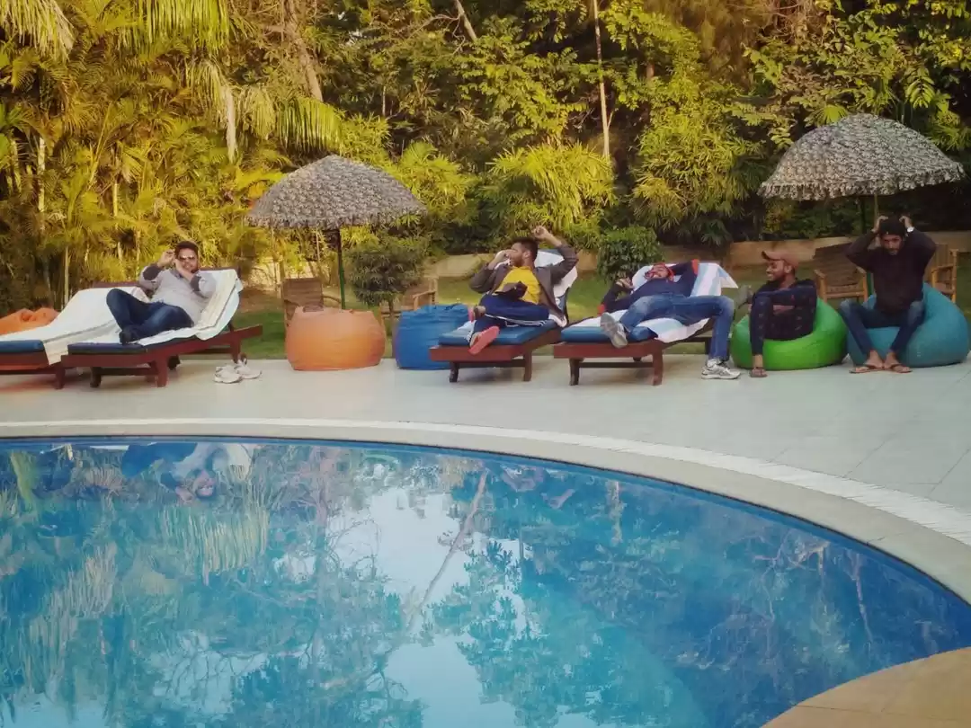 Photo of Wander to wildlife o