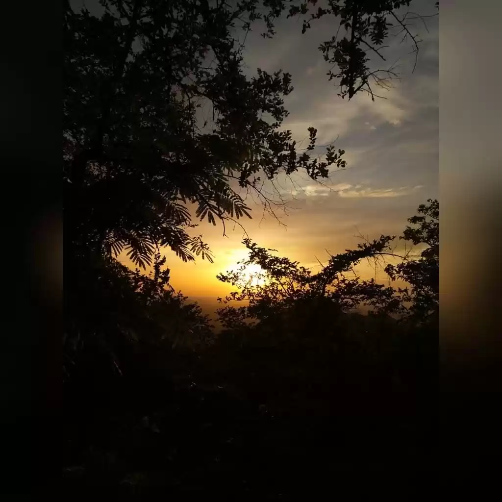 Photo of Have you ever dreame