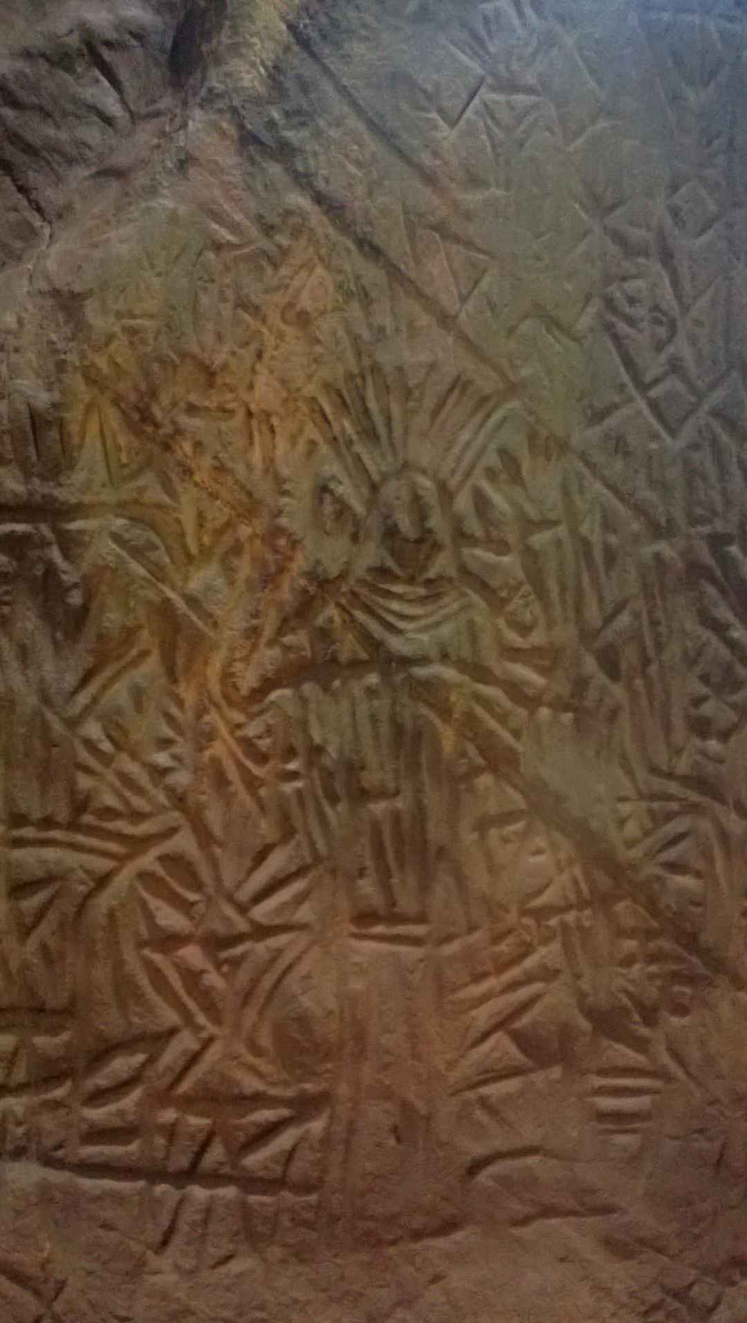 Photo of Immersed in Greenery: Wayanad, Kerela