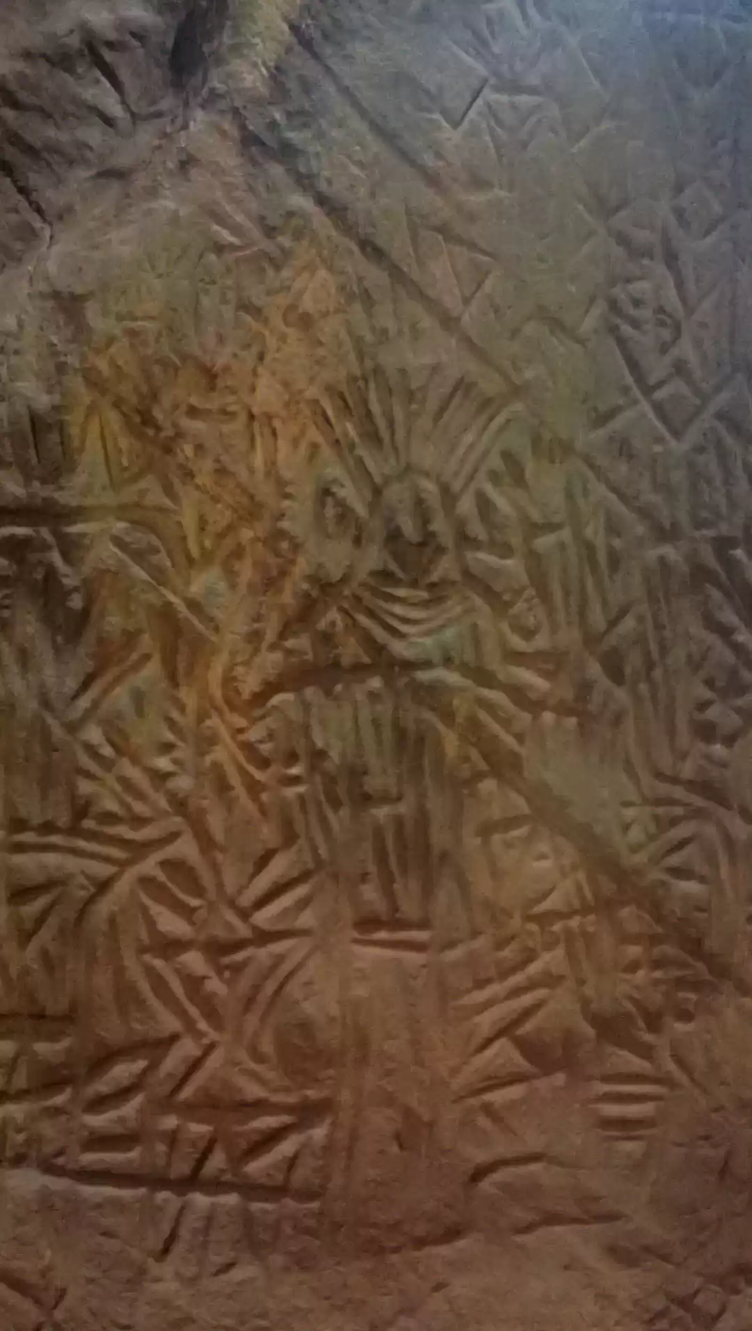 Photo of Immersed in Greenery