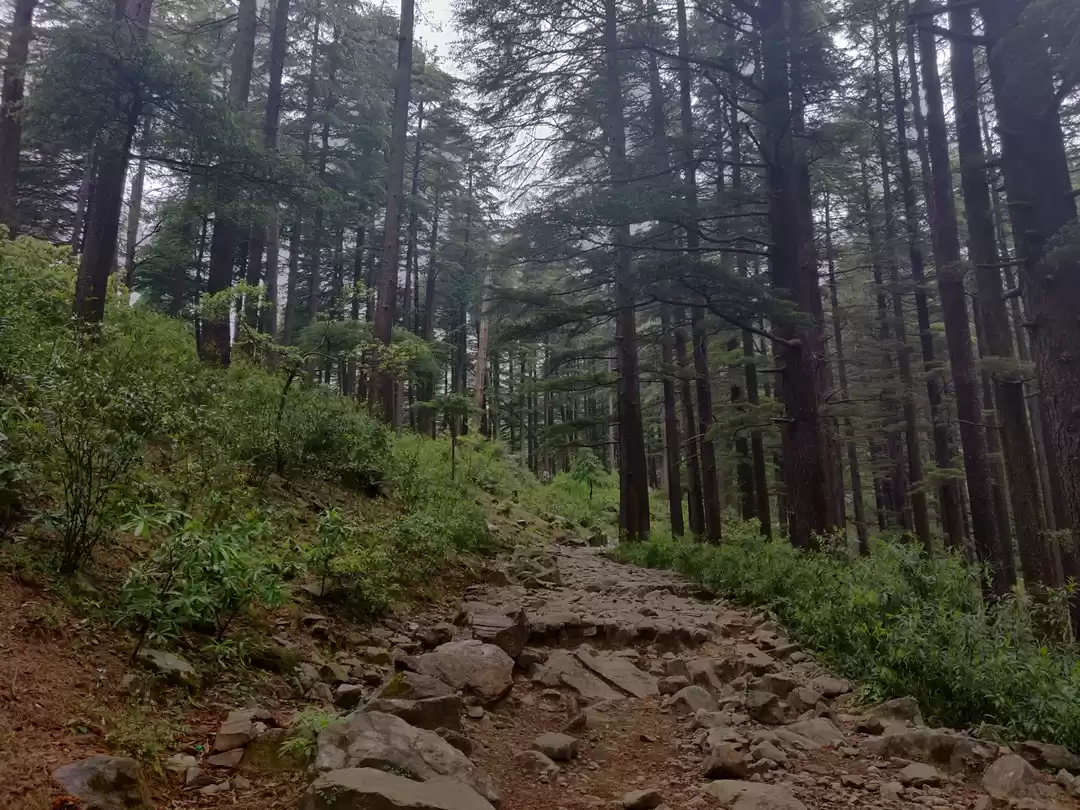 Photo of Triund trek