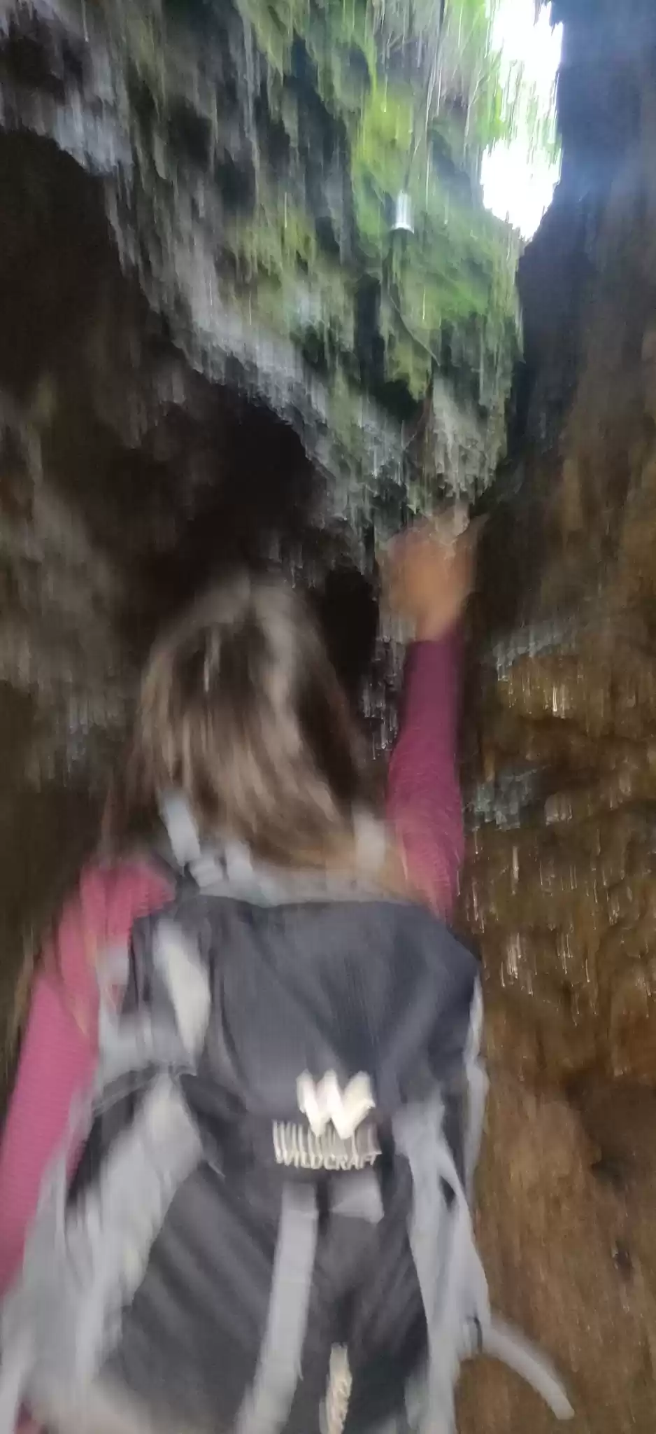 Photo of Cave garden Nanital