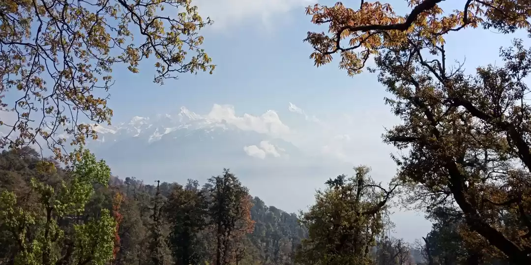 Photo of Munsiyari untouched