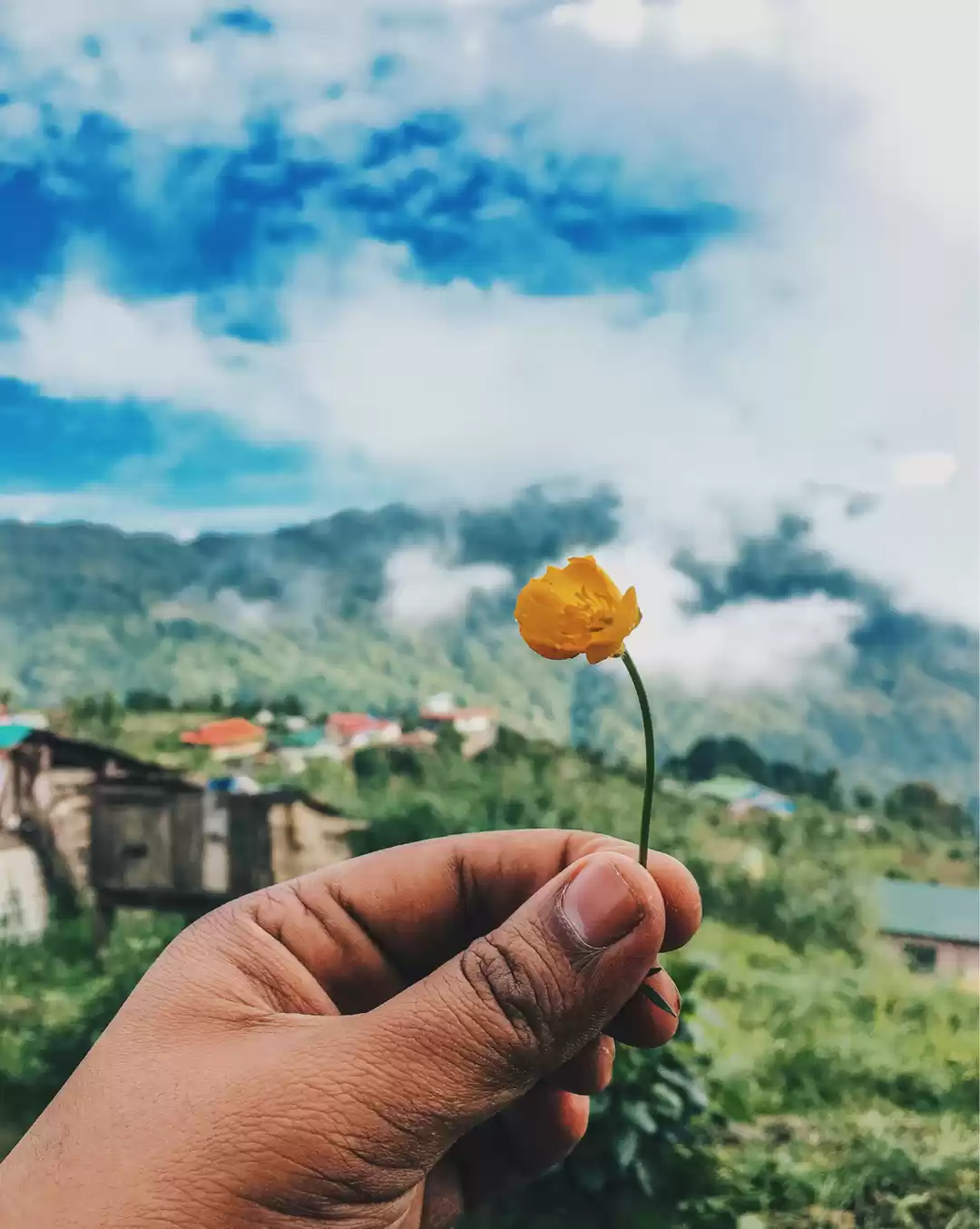 Photo of Senchal Wildlife San